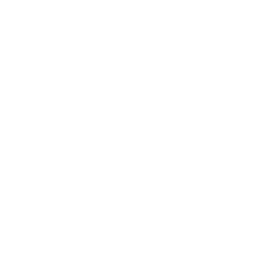 AI Logo 1