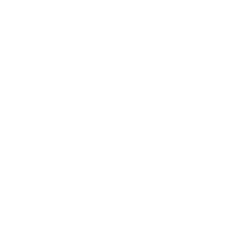 AI Logo 2